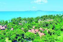 RABBIT RESORT