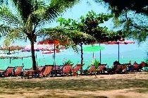 RABBIT RESORT