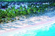 OCCIDENTAL GRAND PUNTA CANA