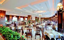 DELPHIN PALACE DELUXE COLLECTION