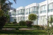 AMARANTE GARDEN PALMS