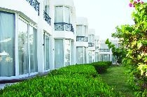 AMARANTE GARDEN PALMS