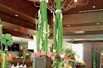 PHUKET GRACELAND RESORT