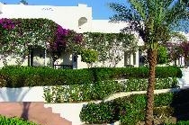 VERGINIA SHARM