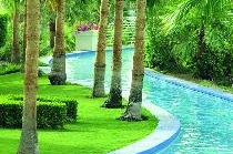 THE RITZ-CARLTON