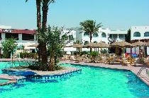 SHAMS SAFAGA