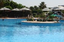 LOTUS BAY SAFAGA