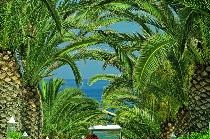 ALDEMAR KNOSSOS ROYAL