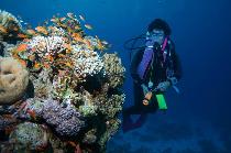 TROPITEL DAHAB OASIS