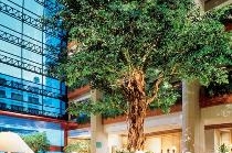AMARI ATRIUM
