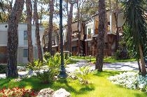 VOYAGE BELEK