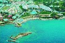 THE GRAND BLUE SKY HOTEL