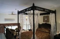 DOMINA CORAL BAY HAREM