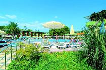 LONICERA WORLD
