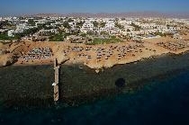 SHORES AMPHORAS