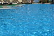 SHARM REEF