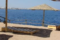 SHARM REEF