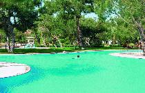 ROYAL PALM RESORT