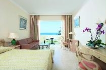 RODOS PALLADIUM