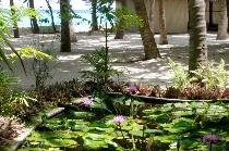 THULHAGIRI ISLAND RESORT