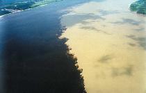 TROPICAL MANAUS ECO RESORT