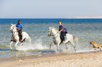 MERCURE HURGHADA